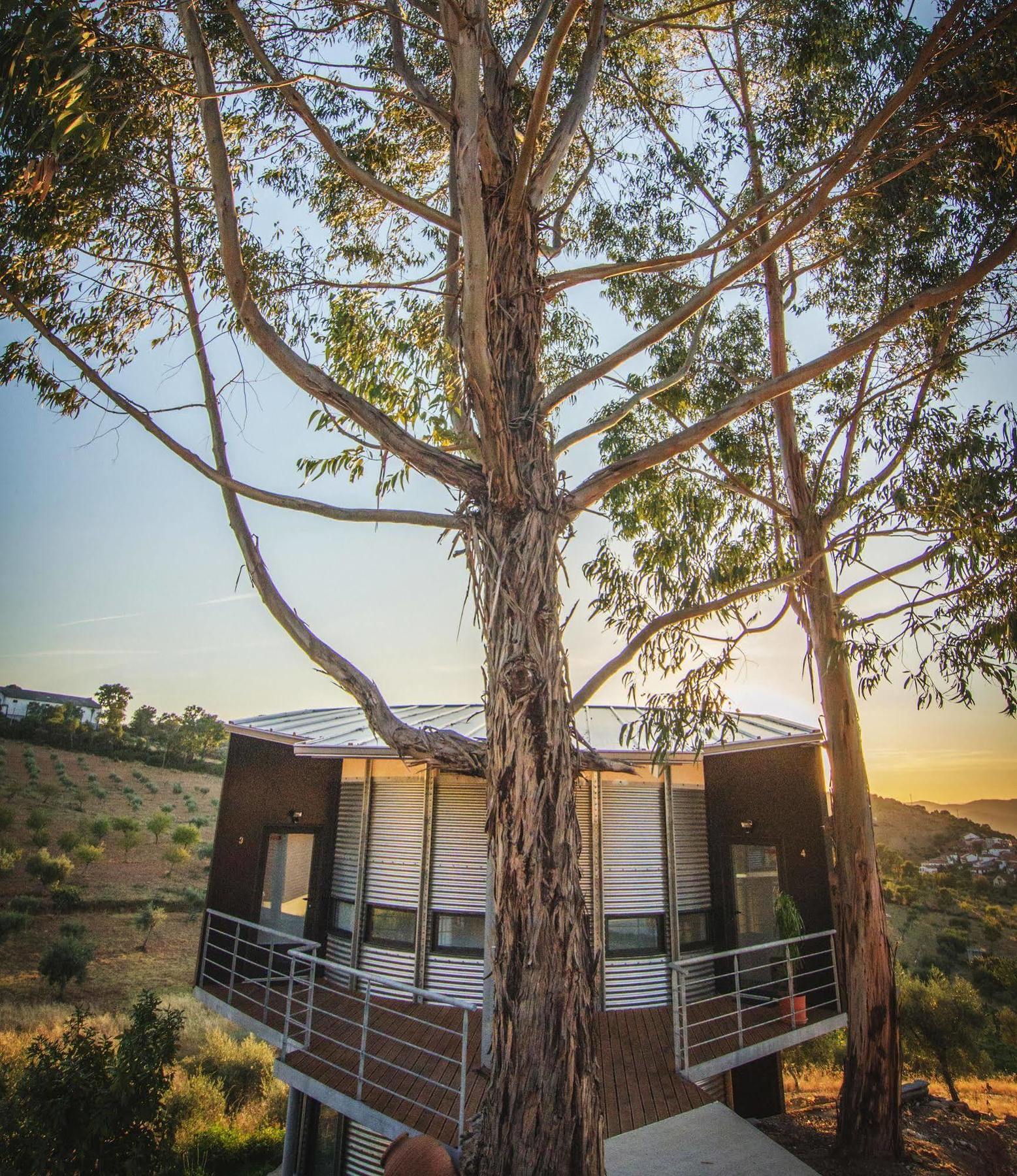 Villa Bela Vista Silo Housing Alfândega da Fé Exterior foto